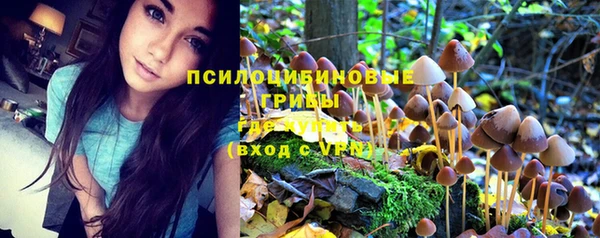 не бодяженный Краснотурьинск